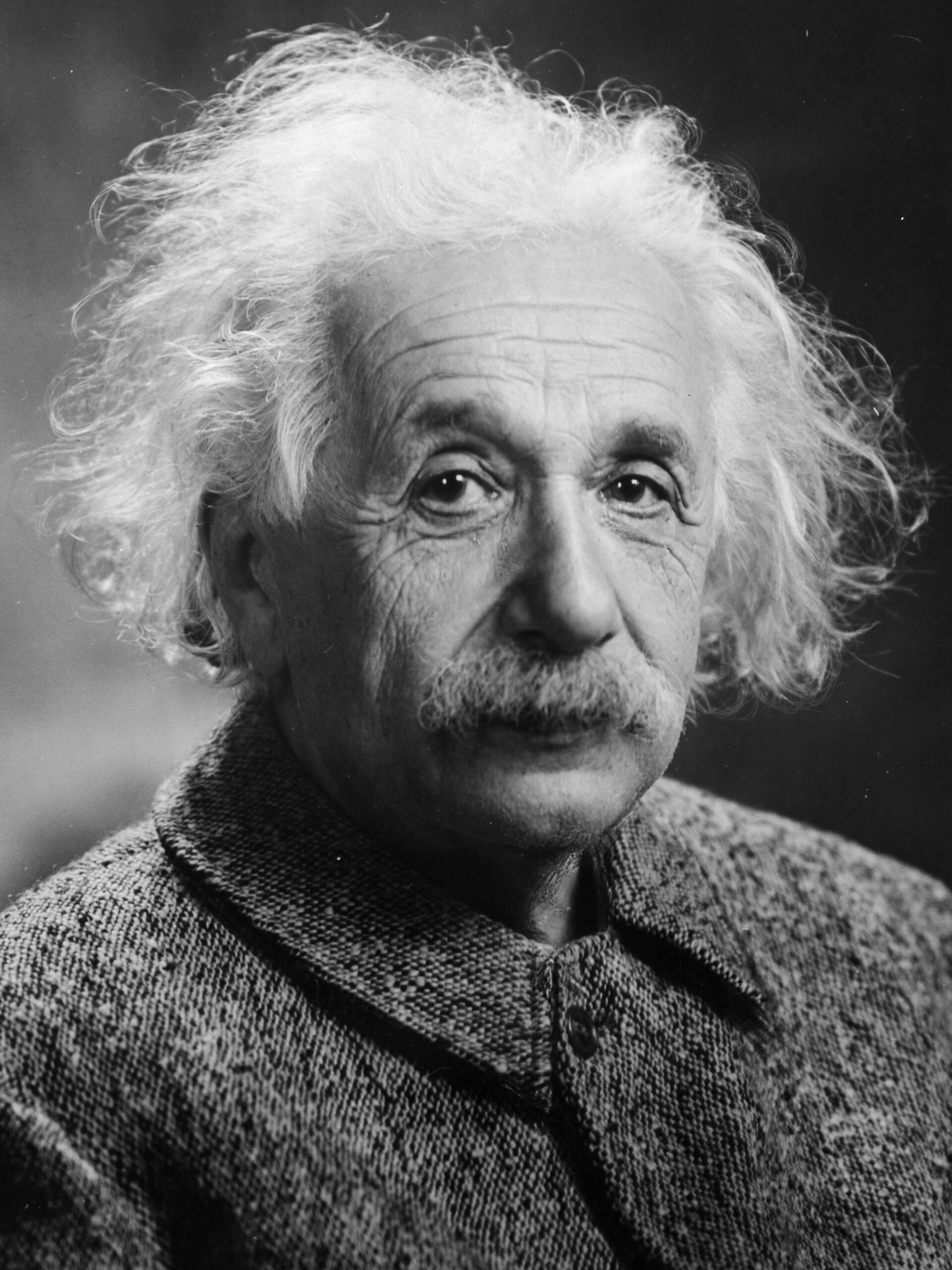 who wrote the biography of albert einstein