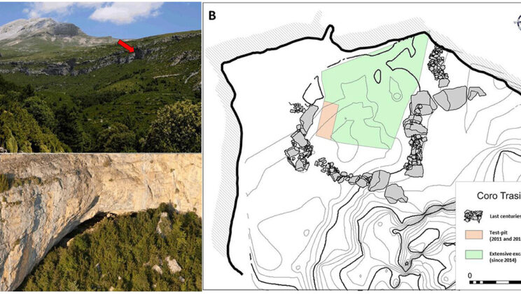 Study Reveals Diverse Livestock Management and Feeding Strategies in Early Neolithic Pyrenees
