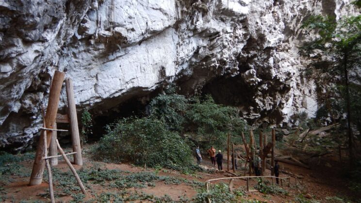 Ancient DNA Analysis Reveals Complexities of Thailand’s Iron Age Societies